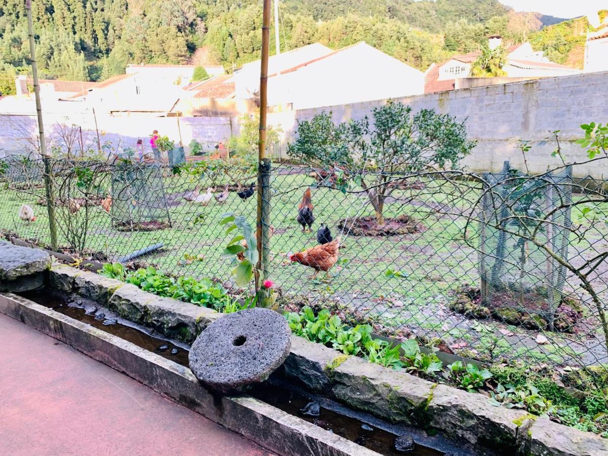Furnas Spring Lodge Εξωτερικό φωτογραφία